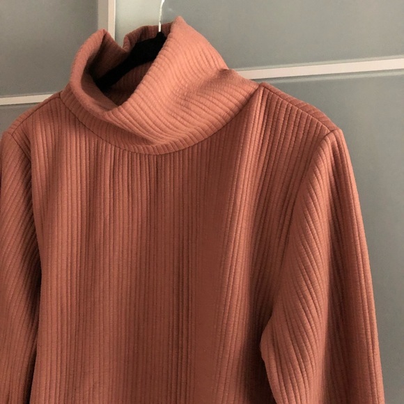 Aritzia Babaton Cropped Long Sleeve Ribbed Turtleneck. - Picture 4 of 6